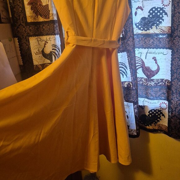 RoRox Marigold Swing Dress - Picture 2 of 9